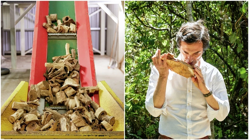 香奈兒檀香最特別之處,在「新喀里多尼亞檀香木」此一品種,並且以專屬萃取方式留存其特有的木質香氣。 香奈兒檀香最特別之處,在「新喀里多尼亞檀香木」此一品種,並且以專屬萃取方式留存其特有的木質香氣。