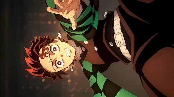 Photo / Muse木棉花-TW