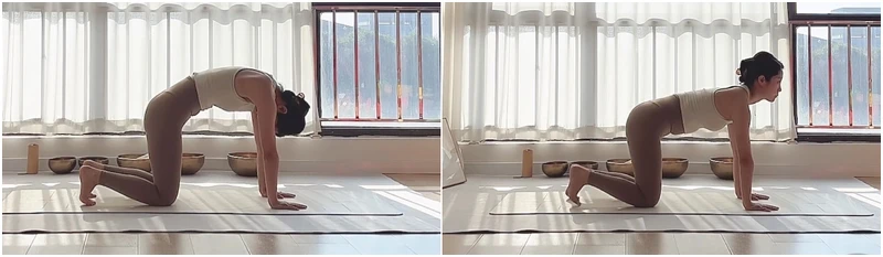 Photo/小紅書 Photo/小紅書