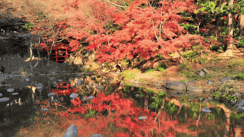 小石川後樂園 小石川後樂園