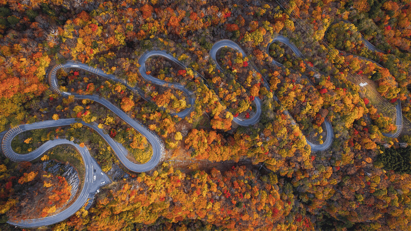 伊呂波坂 伊呂波坂