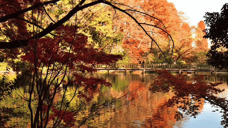 井之頭恩賜公園 井之頭恩賜公園
