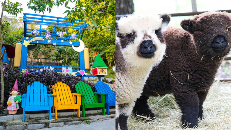 Photo/彰化旅遊資訊網、FB@今夜星辰休閒農場 Photo/彰化旅遊資訊網、FB@今夜星辰休閒農場