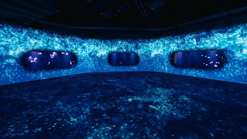 台中海洋館3樓:水母展區 台中海洋館3樓:水母展區