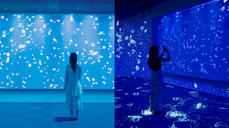 台中海洋館3樓:水母展區 台中海洋館3樓:水母展區