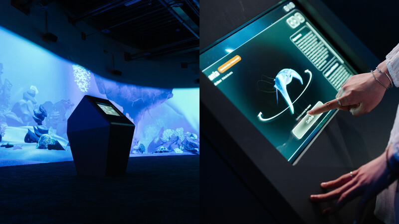 台中海洋館1樓:海洋學園 台中海洋館1樓:海洋學園