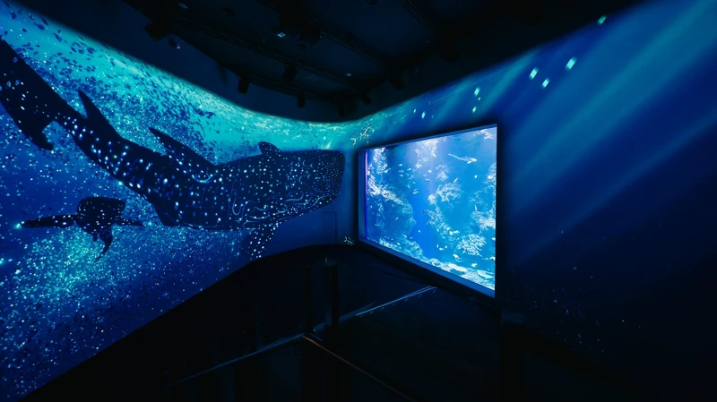 台中海洋館1樓:黑潮之海 台中海洋館1樓:黑潮之海