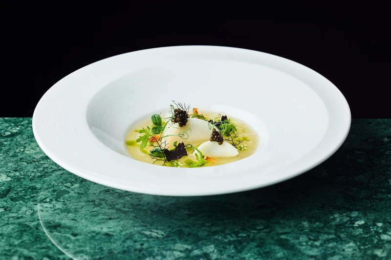 令人印象深刻的是「地芝燕」。