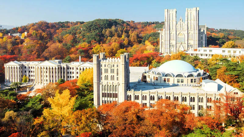 慶熙大學 慶熙大學