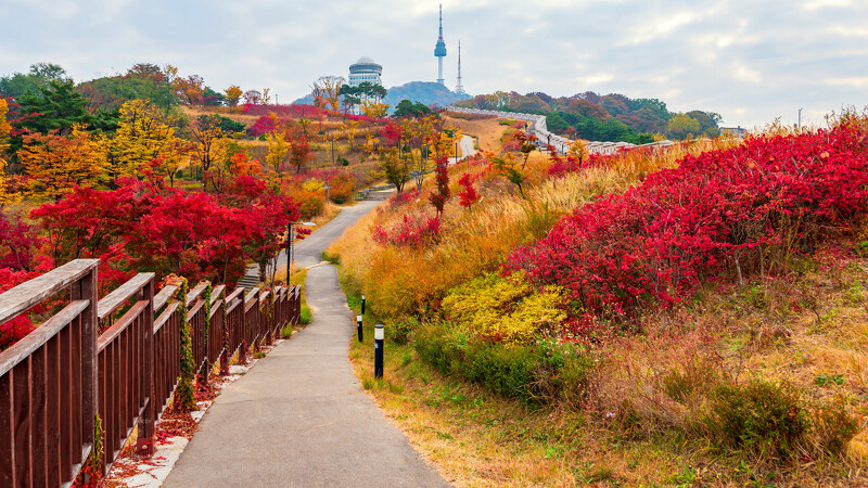 首爾南山公園 首爾南山公園