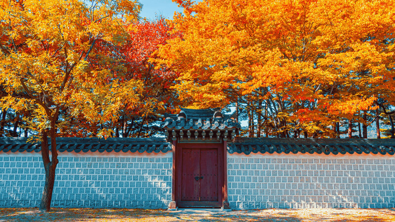 昌德宮秘苑 昌德宮秘苑