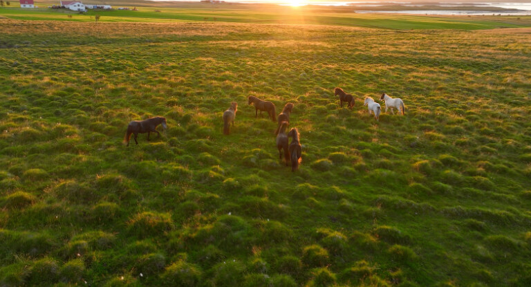 Photo / 塔羅耳語