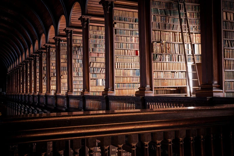 Photo/www.visittrinity.ie