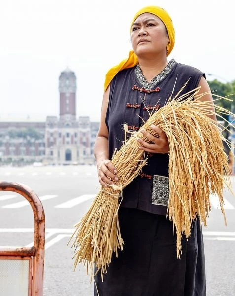 巴奈 Panai 在阿美族語是稻穗的意思