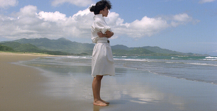 楊德昌《海灘的一天》