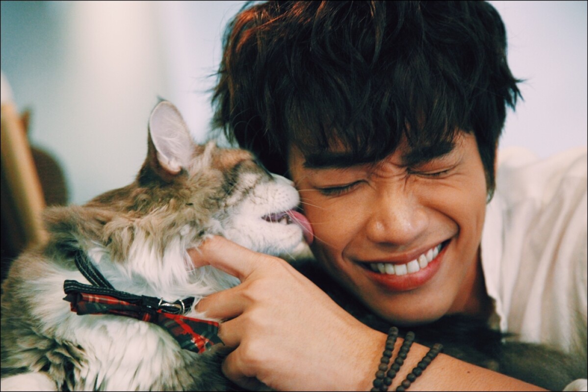【獨家文摘】你愛貓嗎？快來看犬貓人劉以豪與貓咪的超萌對談！