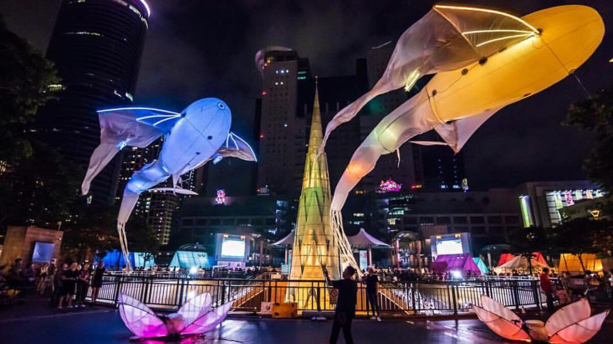  太美了！全球知名夢幻作品「Les Luminéoles 光之鳥」現正飛翔在台北的夜空上，你有看見牠們的身影嗎？