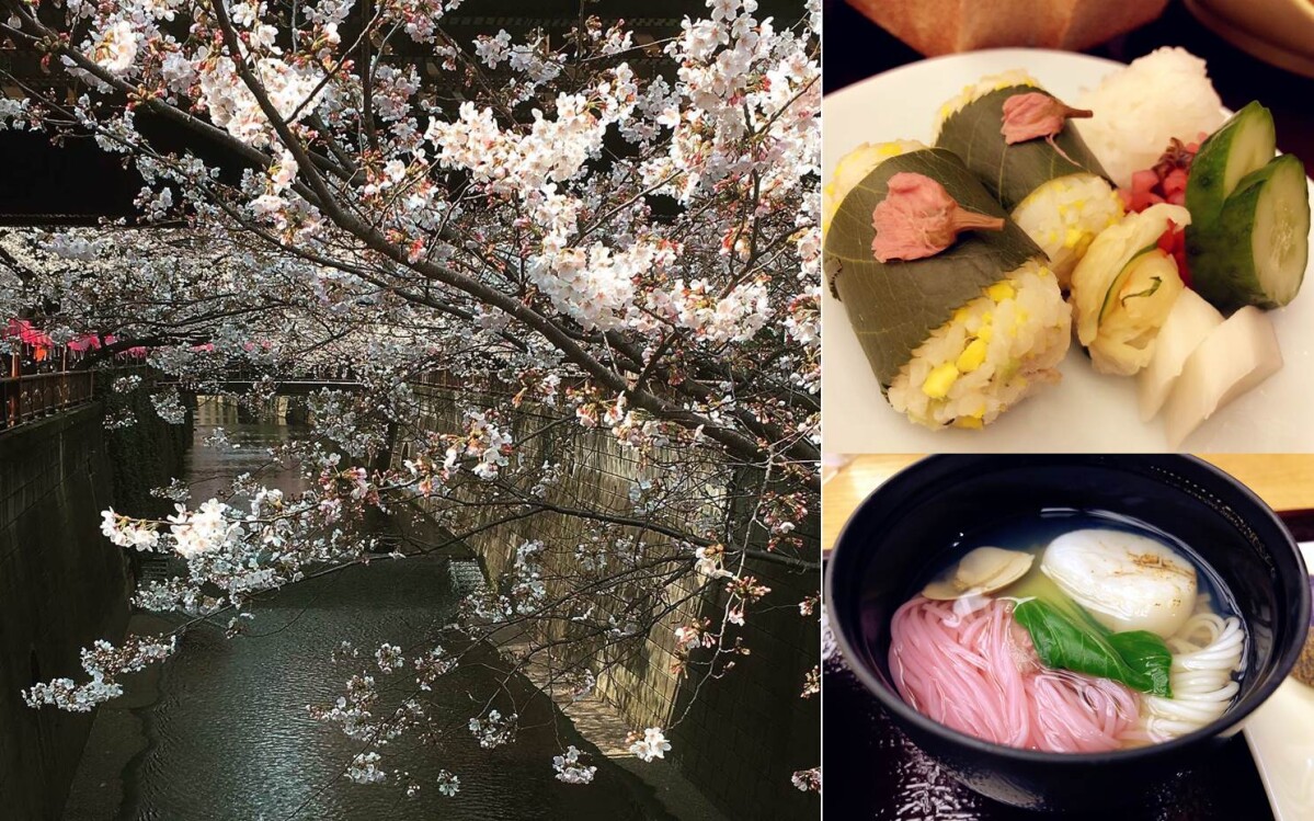 工作壓力都滿滿的日本櫻花美景與櫻花美食給療癒了♥姐妹們真的趕快安排一下出遊去吧！