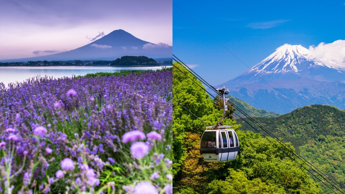【玩咖懶人包】爬富士山必Get五大人氣景點！「河口湖香草節」交織成紫色仙境、全景纜車360度俯瞰聖山美景