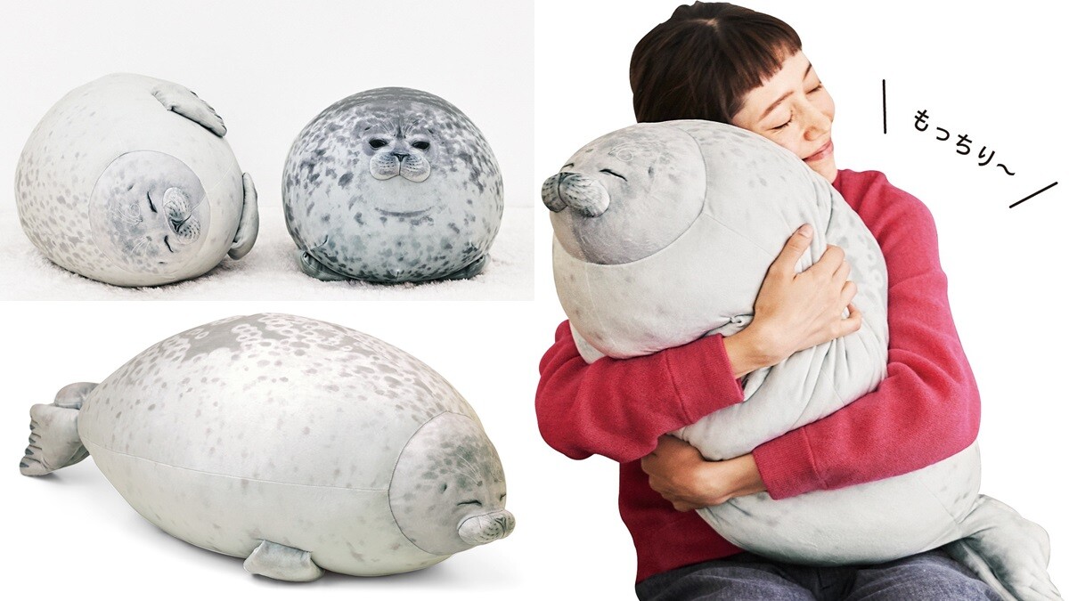 圓滾滾療癒感爆棚！日本水族館推超萌「微笑海豹抱枕」，呆萌模樣一秒被圈粉