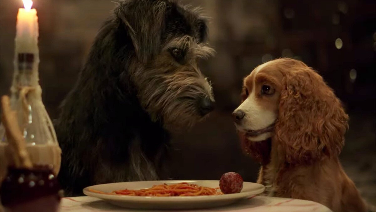 《小姐與流氓》有真狗版電影了！神還原共吃義大利麵經典浪漫橋段