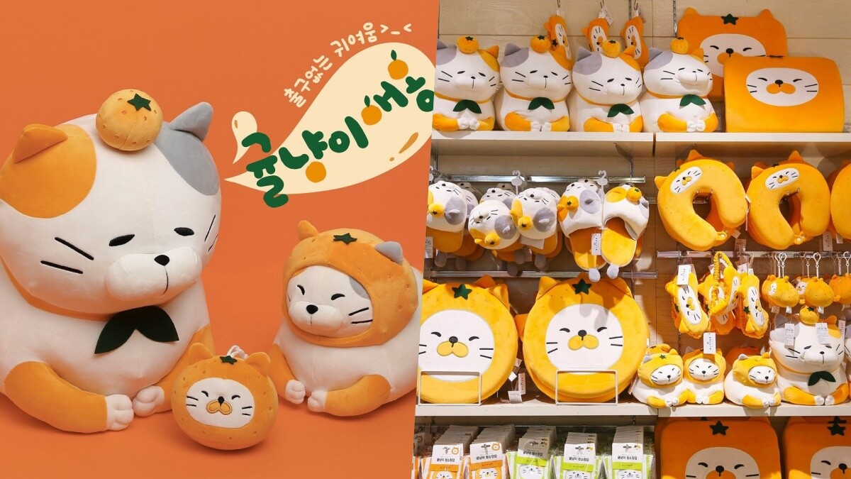 貓奴們注意！韓國Butter推出「橘子貓」生活小物，折手貓咪們圓滾滾模樣爆炸可愛