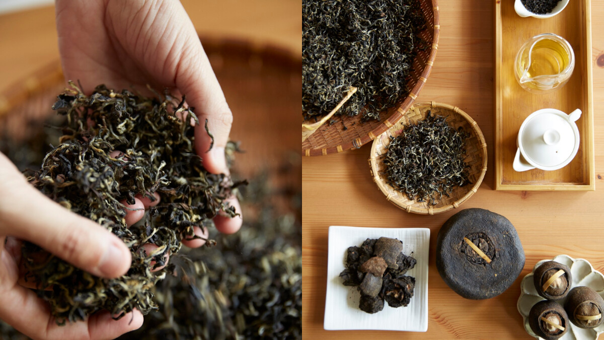 【苗栗特輯】有好食茶 讓台灣和客家茶文化有了新風貌