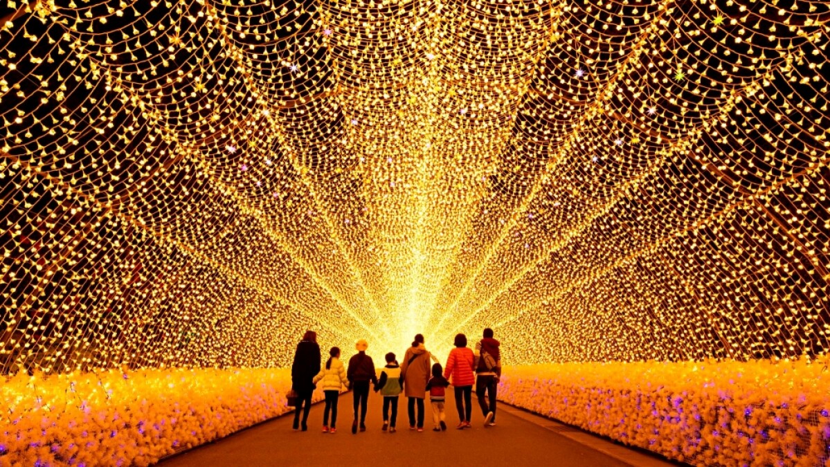 此生必看！「名花之里光雕展」7大展區打造日本最大燈海，200公尺長「光之隧道」宛如置身仙境