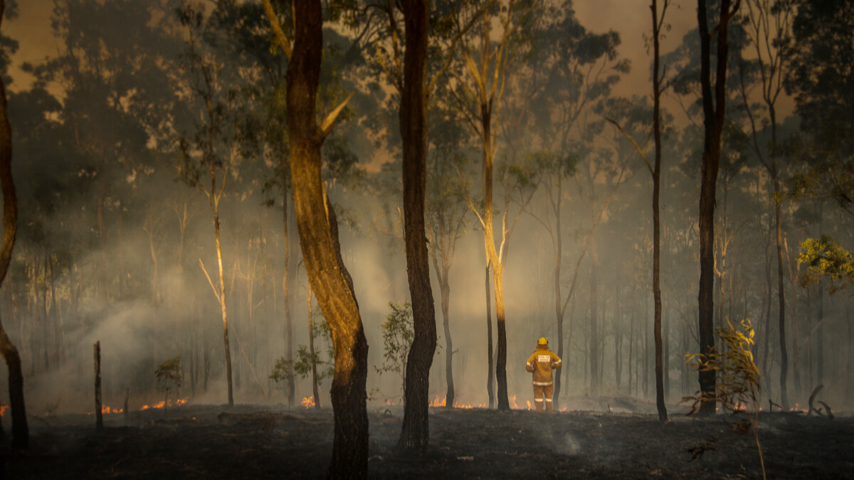 餘燼裡的告白：2020澳洲大火兩位消防員、受災戶回憶最難忘的一夜