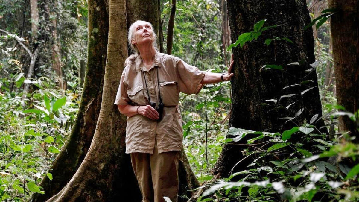 《珍古德：點燃希望》專訪Jane Goodall：「我現在86歲了，仍然有更多事情要做！」