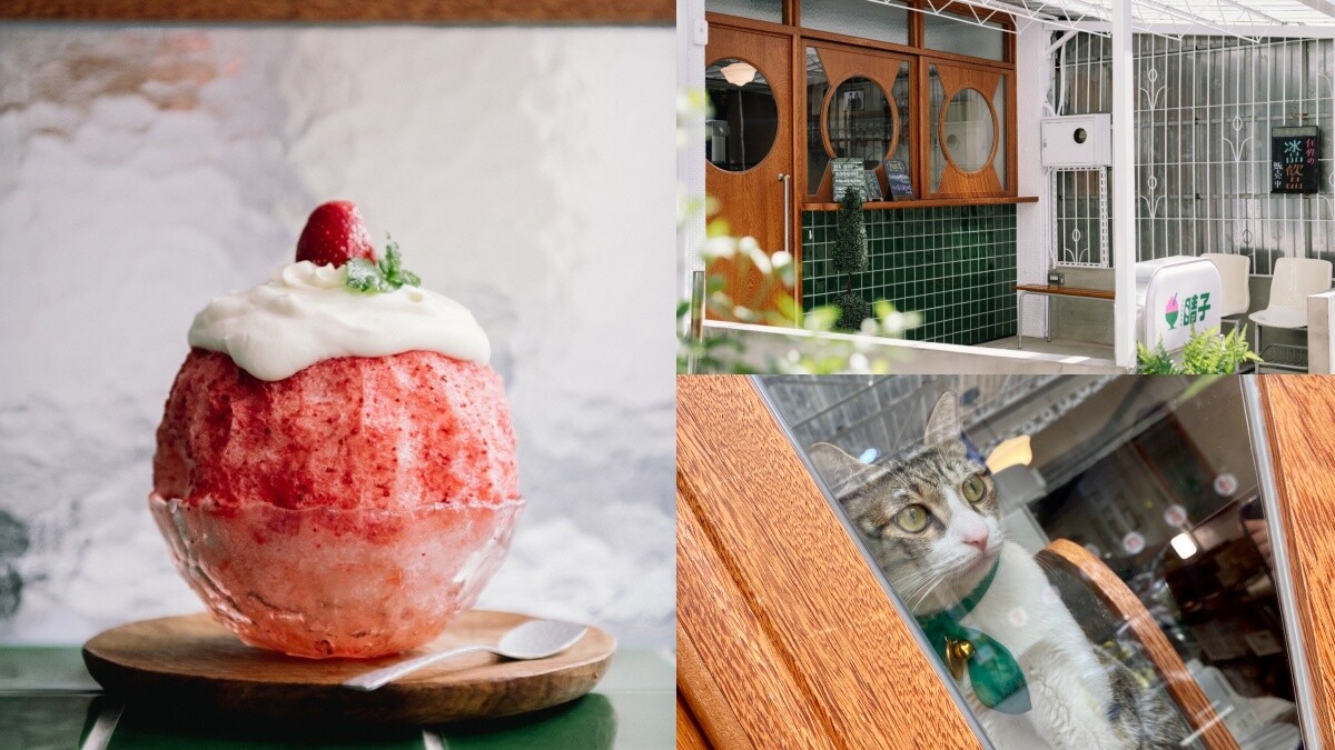 【板橋冰店】晴子冰室創意刨冰每一口都是驚喜、必吃限定雞蛋糕，日式復古懷舊風格讓人一秒穿越