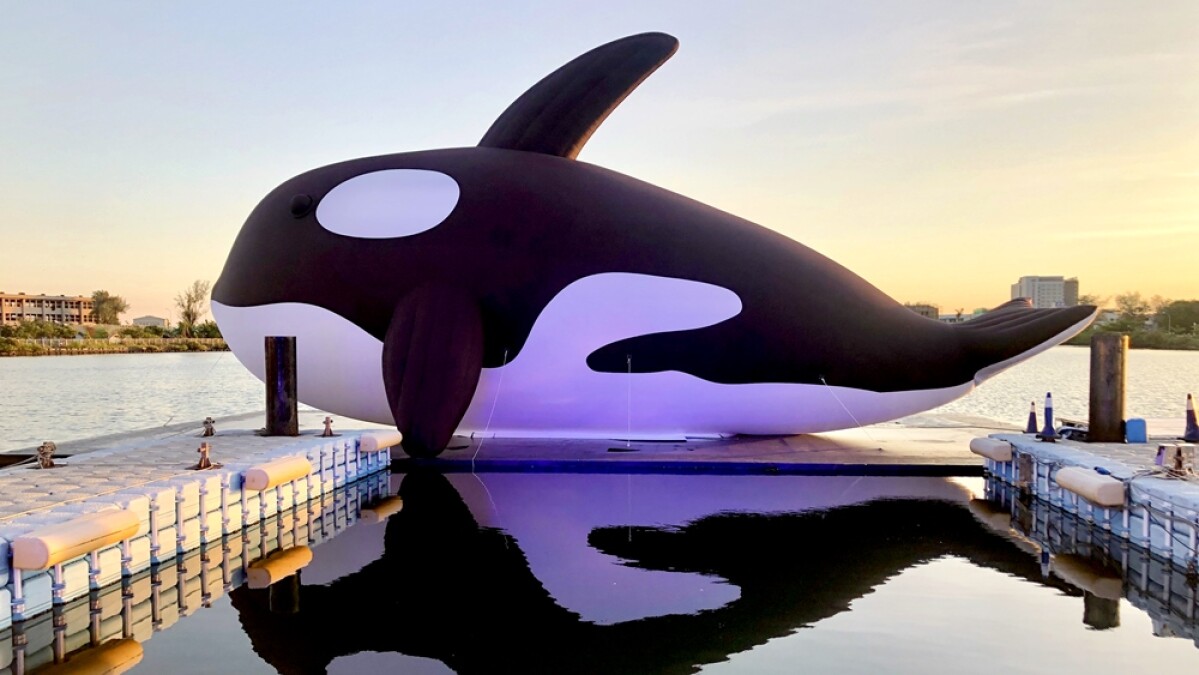 全球最大虎鯨在台南！「安平虎鯨嘉年華」登場，20公尺呆萌虎鯨游進安平港，還有水上樂園、煙火秀必朝聖