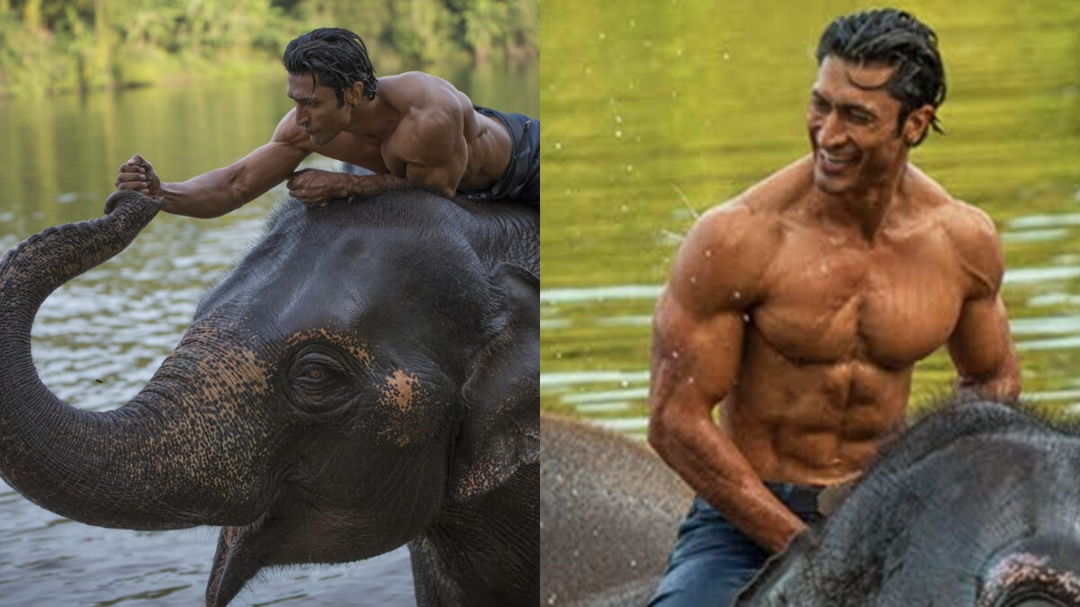 印度電影《叢林拳霸》男主角維帝傑馬太帥了！化身帥獸醫與象寶寶互動，性感肌肉身材實在太養眼