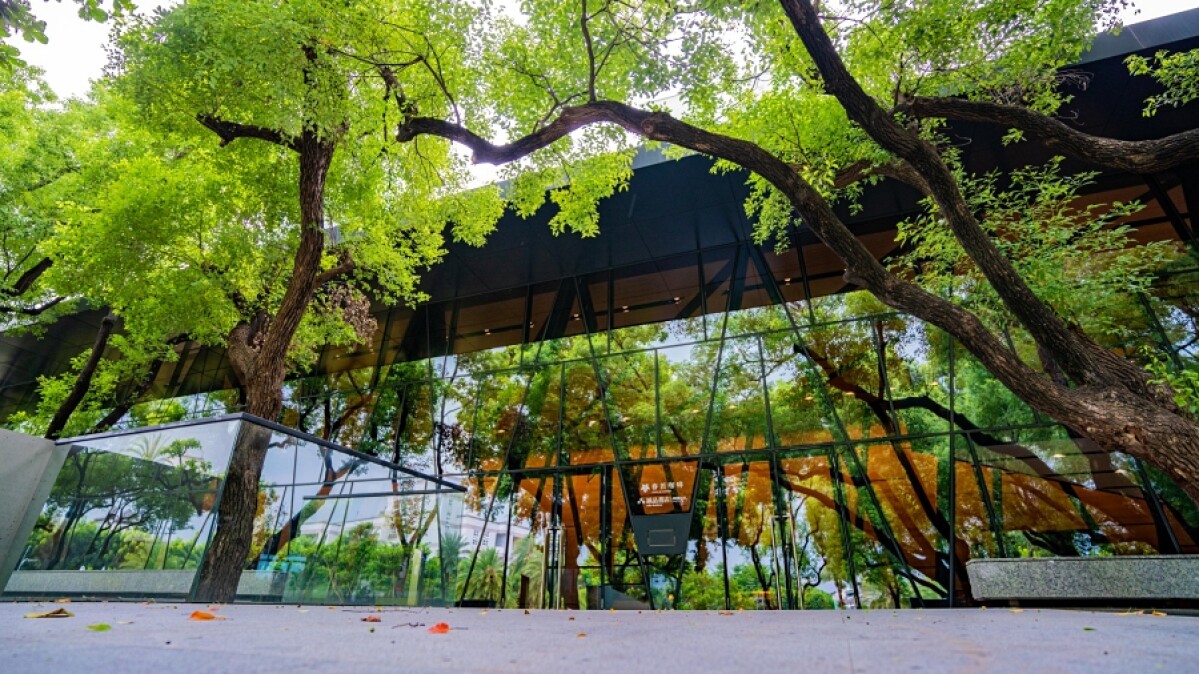 全新「森林圖書館」美翻天！屏東縣立圖書館30年建築翻新，陽光灑落玻璃窗景，仰望綠意閱讀太幸福