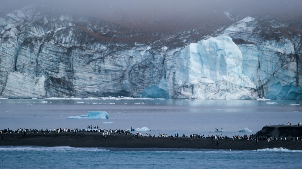 【南極旅遊】企鵝、冰山、探險船！探索世界盡頭 ，停留在大自然最風光的冰藍景色 