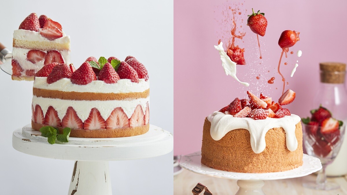 草莓蛋糕推薦！微甜室打造超綿密草莓奶昔戚風蛋糕，還有華麗爆表的優格花園搶先預購