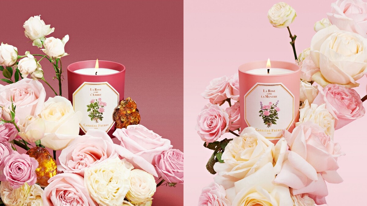 法國百年香氛蠟燭Carrière Frères 2021新品玫瑰之戀，大馬士革玫瑰搭配琥珀太浪漫