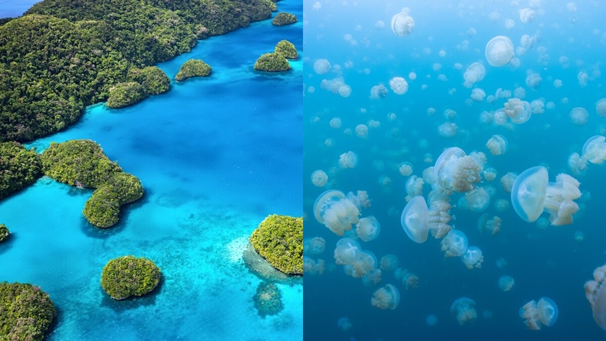 帛琉旅遊泡泡正式啟動！5大防疫原則、航班旅客人數、價格、旅行社懶人包，必去景點也全整理好了