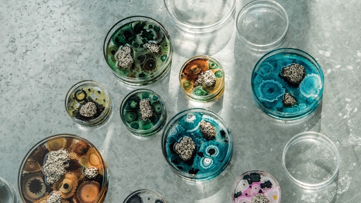 The New Normal氣味培養皿，史上第一個微觀玻璃擴香座，就像個縮小生態系