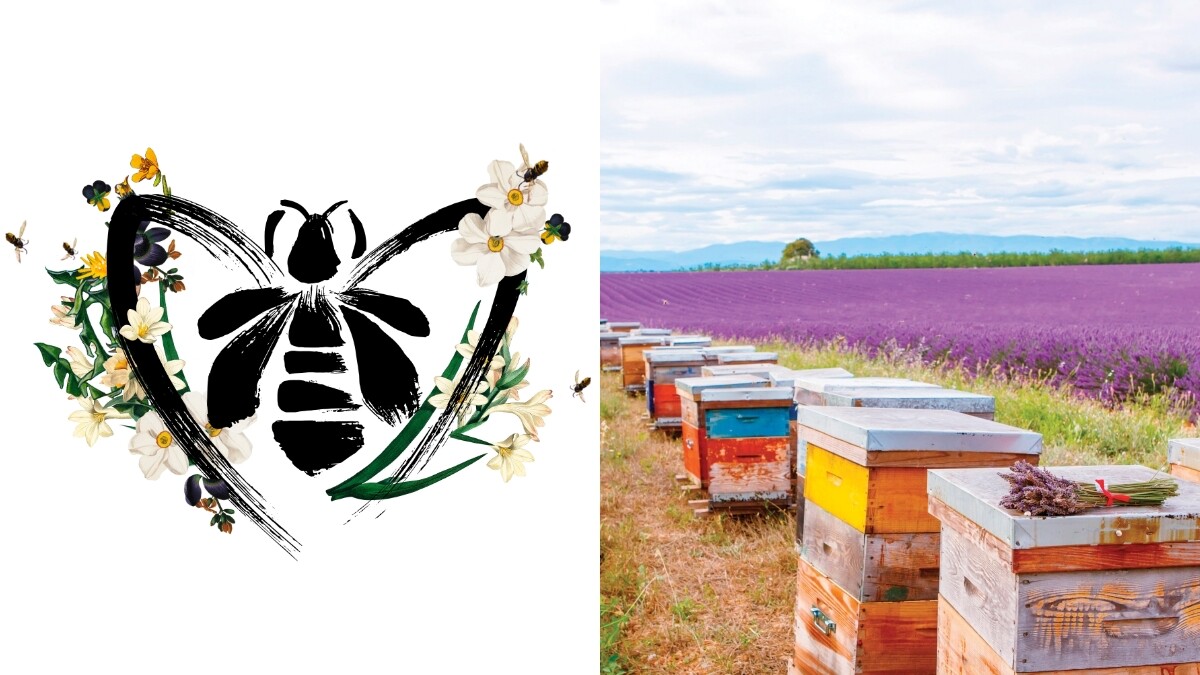 520也是世界蜜蜂日！嬌蘭IG貼文轉發限動捐20歐元、蜜葳特最有保育意識的槐花蜜登場