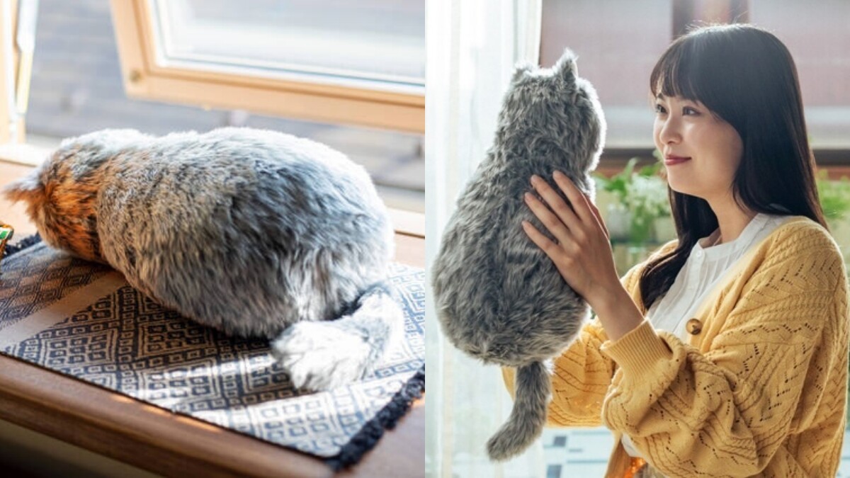 可以瘋狂吸貓了！日本「貓貓抱枕」療癒問世，外型、體溫、心跳全都超逼真，撫摸還會發出呼嚕聲