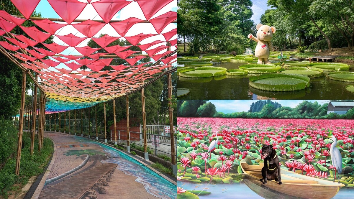 「2021桃園蓮花季」限時起跑！19間蓮園賞花體驗、特色美食一次滿足，還有彩虹繽紛「擎雨步道」網美必拍