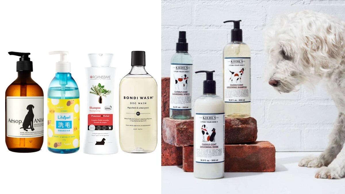 寵物清潔5品牌推薦，幫毛小孩洗澡加倍呵護