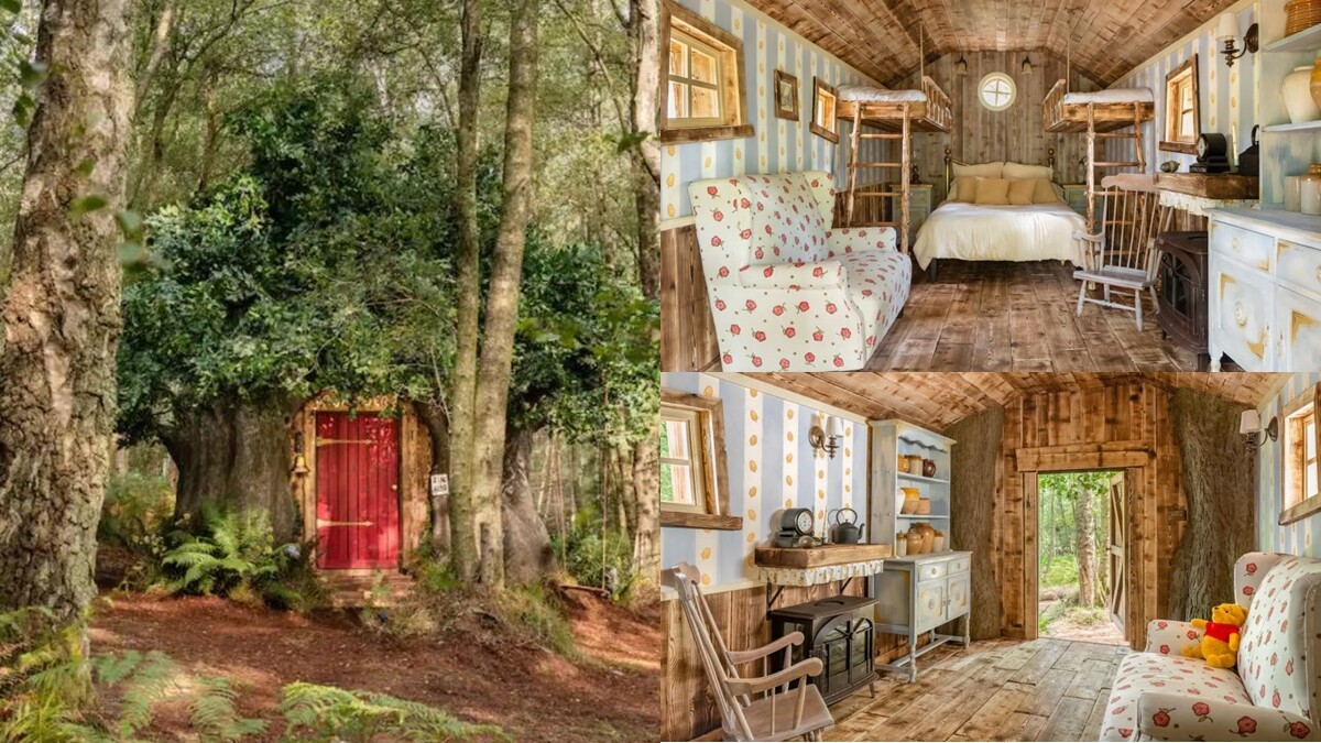 維尼控人生清單！Airbnb打造「小熊維尼樹屋」，住進童話世界夢想成真