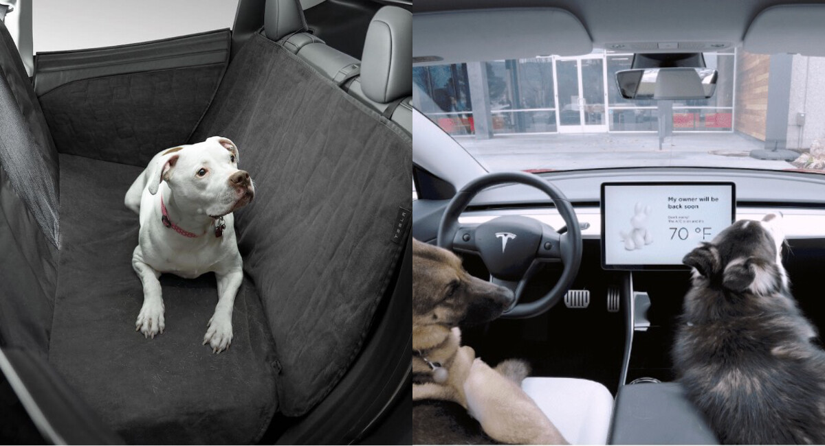 毛小孩專屬！Tesla首次推出車用寵物坐墊，讓毛小孩擁有最安心的乘車體驗