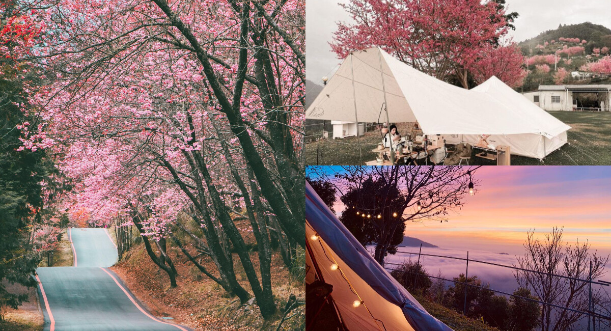 最少女的櫻花季來襲，全台賞櫻露營區推薦！在櫻花樹下享受浪漫的粉色仙境～