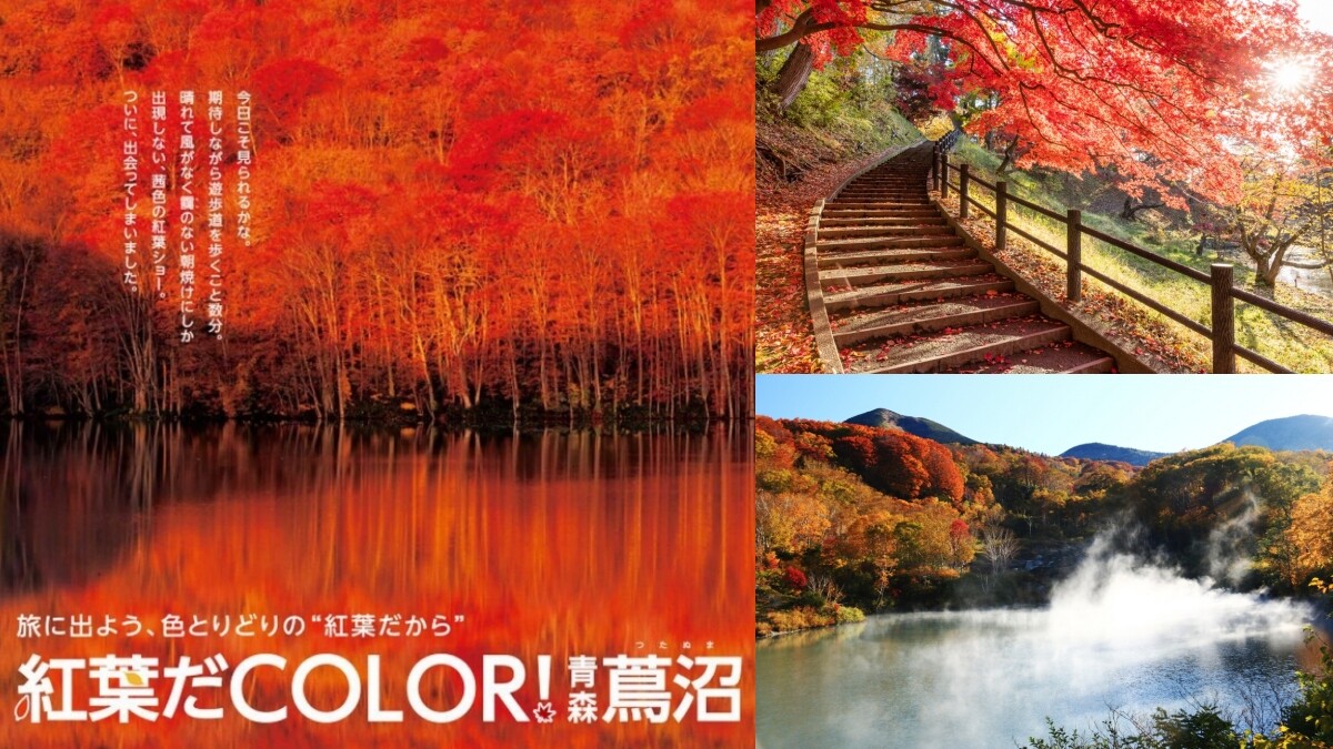 【MiKU玩日本】蔦沼朝燒夢幻絕景必看！盤點青森縣5大紅葉景點個個美如畫