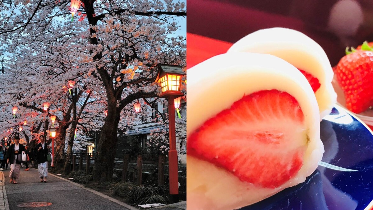 日本關西兵庫「城崎溫泉」冬日春季泡湯、近郊賞櫻秘境、甜點饗宴攻略