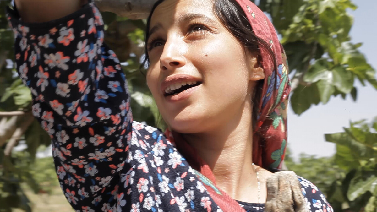 《無花果樹下》表露少女間互訴呈現青春期的愛戀迷惘，影評｜雀雀：「此片為北非突尼西亞最美的風景」
