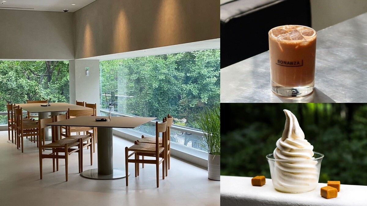 【Julia韓國觀察筆記】首爾5間綠蔭窗景咖啡廳推薦！炎夏來看綠樹消消暑